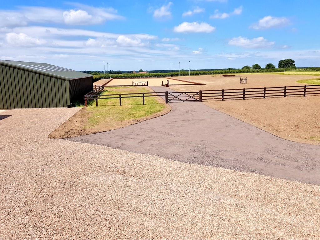 Arenas: S E Hill Ltd project photo 11