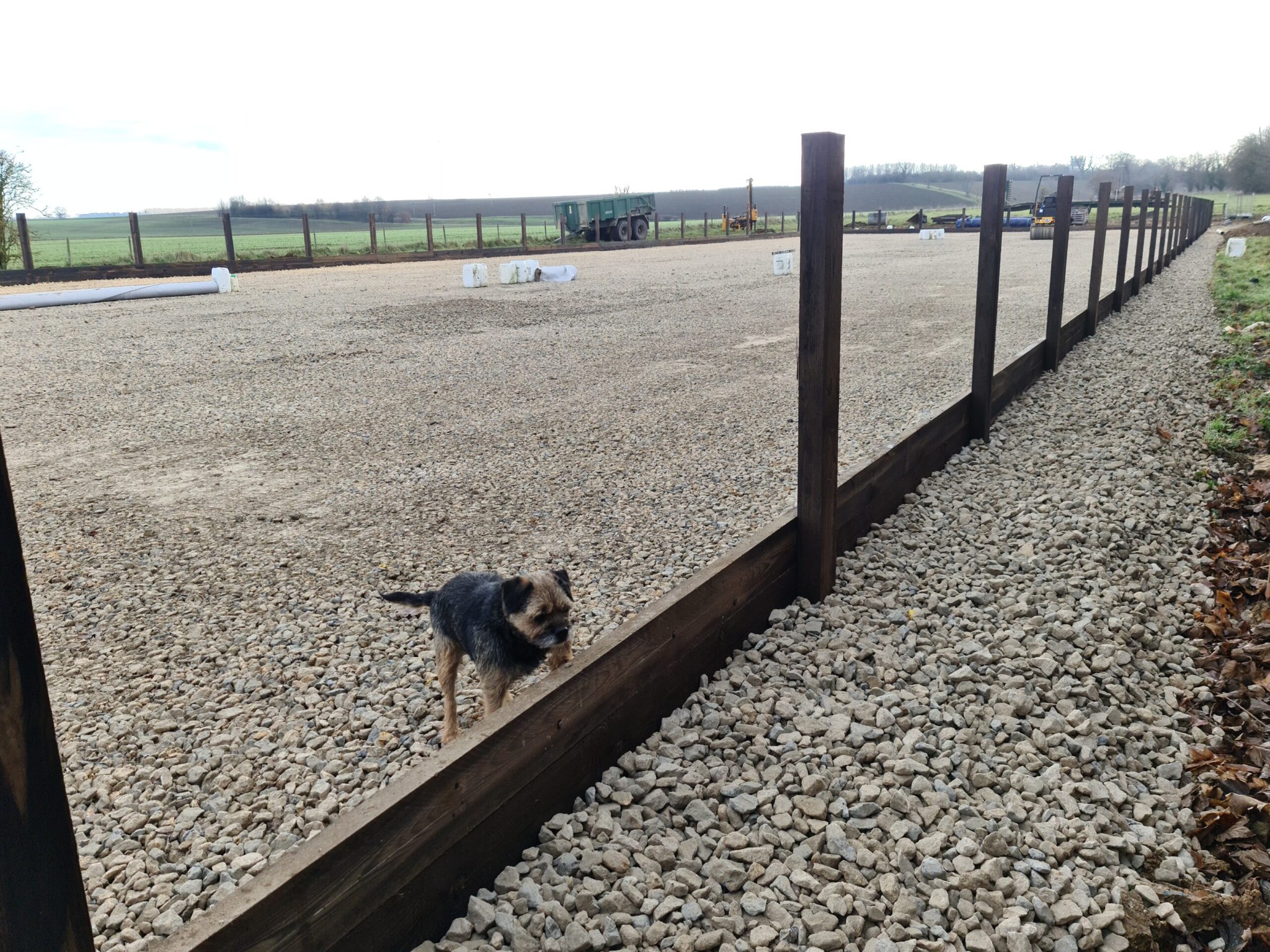 Arenas: S E Hill Ltd project photo 16
