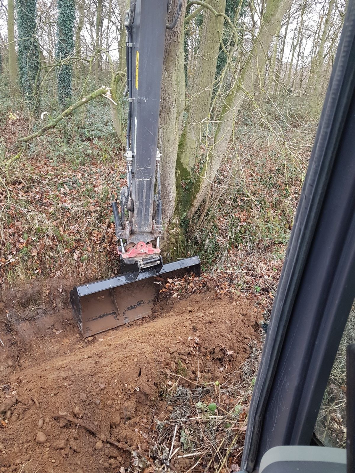 Excavator mulching head working along a woodland edge